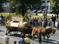 Bergholzer Bauernfamilie