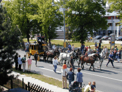 Kaiserkusche1